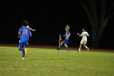 Enlarge photo 487