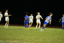 Enlarge photo 494