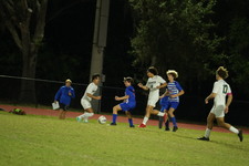 Enlarge photo 584