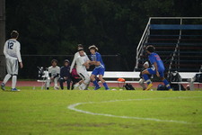 Enlarge photo 54