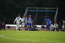 Enlarge photo 67