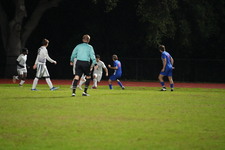 Enlarge photo 92