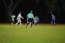 Enlarge photo 93