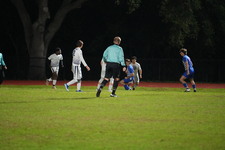 Enlarge photo 94