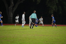 Enlarge photo 95