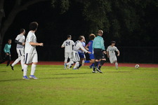 Enlarge photo 99