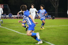 Enlarge photo 129