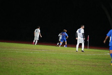 Enlarge photo 145