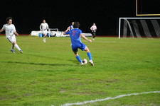Enlarge photo 199