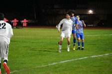 Enlarge photo 217