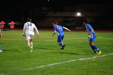 Enlarge photo 223