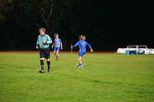 Enlarge photo 229