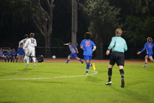 Enlarge photo 237