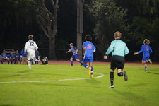 Enlarge photo 238