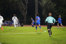 Enlarge photo 239