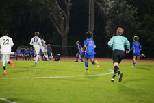Enlarge photo 240