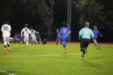Enlarge photo 241