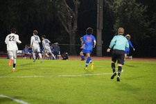 Enlarge photo 242