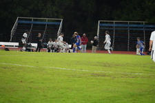 Enlarge photo 243