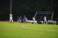 Enlarge photo 254
