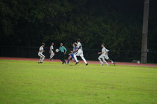 Enlarge photo 259