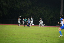 Enlarge photo 260