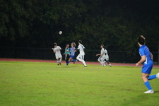 Enlarge photo 261