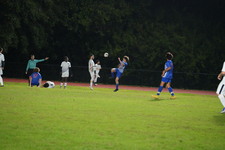 Enlarge photo 269