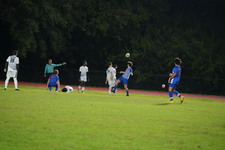 Enlarge photo 271
