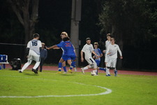 Enlarge photo 303