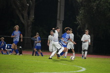 Enlarge photo 305