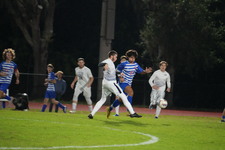 Enlarge photo 306