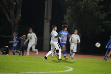 Enlarge photo 307