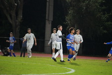 Enlarge photo 308