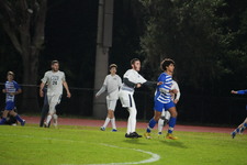 Enlarge photo 309