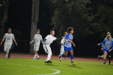Enlarge photo 310