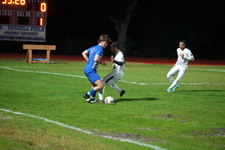 Enlarge photo 335