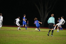 Enlarge photo 379