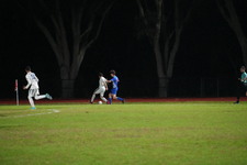 Enlarge photo 417