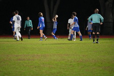 Enlarge photo 426