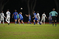 Enlarge photo 431
