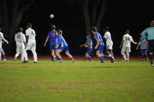 Enlarge photo 432