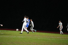 Enlarge photo 435