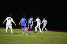 Enlarge photo 439