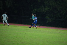 Enlarge photo 495