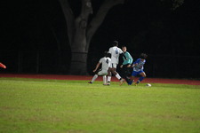 Enlarge photo 508