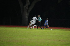 Enlarge photo 509