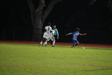 Enlarge photo 511