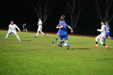 Enlarge photo 553