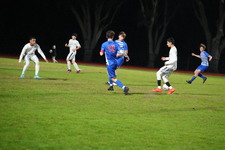 Enlarge photo 554